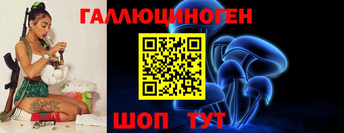 Псилоцибиновые грибы GOLDEN TEACHER  Вход с VPN  Димитровград  Псилоцибиновые грибы Magic Shrooms 